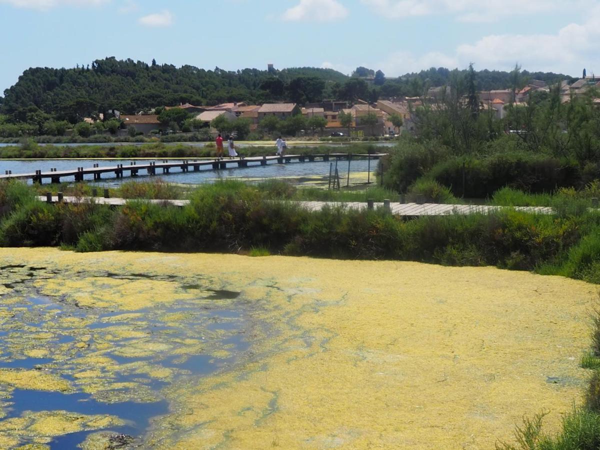 La Closerie Des Iris Castelnau-d'Aude ภายนอก รูปภาพ